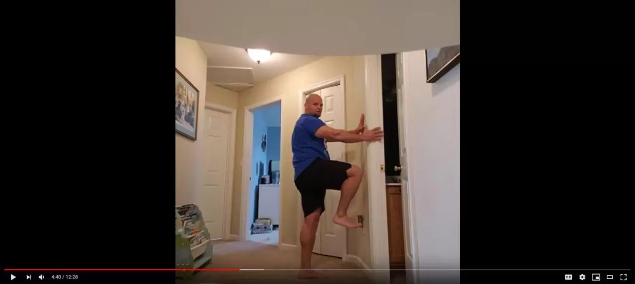 Virtual online fitness training