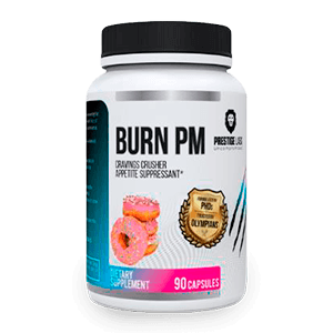 Online Custom Fitness Workout Programs 21 Burn PM