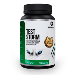 Test Storm