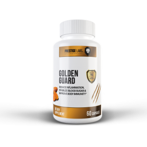 Online Custom Fitness Workout Programs 25 Golden Guard