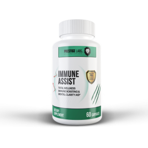 Online Custom Fitness Workout Programs 26 Immune Assist