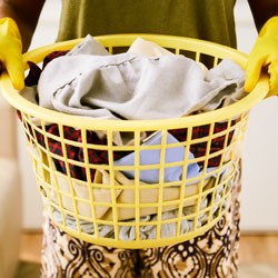 Services Carpet Cleaning housekeeping