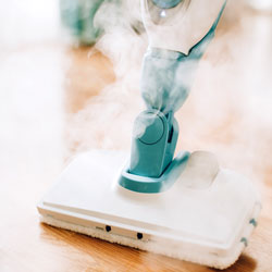 Services Carpet Cleaning STEAM CLEANING