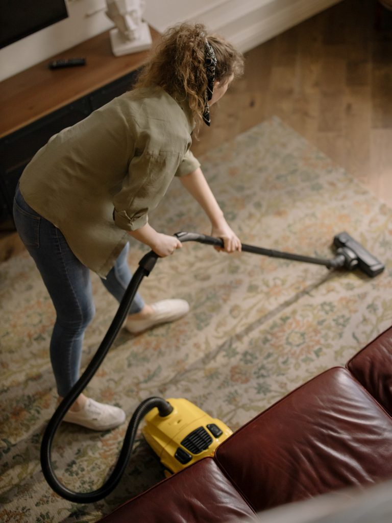 Wet and dry carpet cleaning