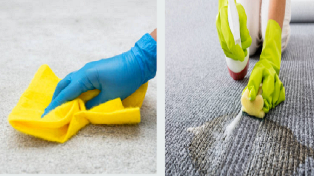 Bio hazard cleaning for Pet Urine