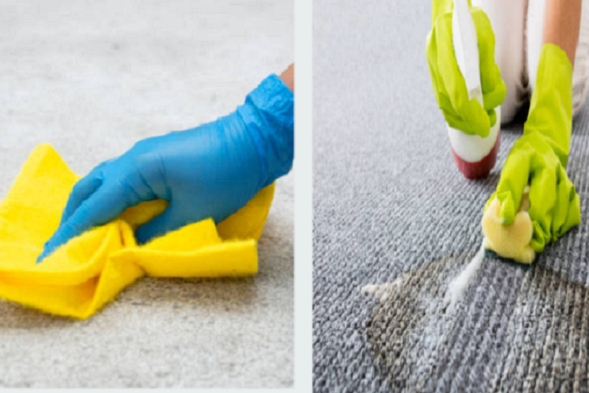 5 Reasons why you need Bio hazard cleaning for Pet Urine