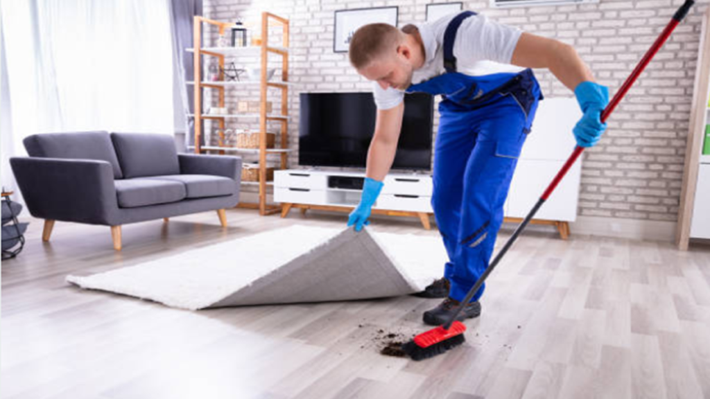 How Long can a Clean Carpet Last?
