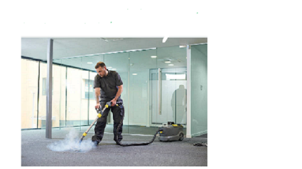Carpet Cleaning Fl