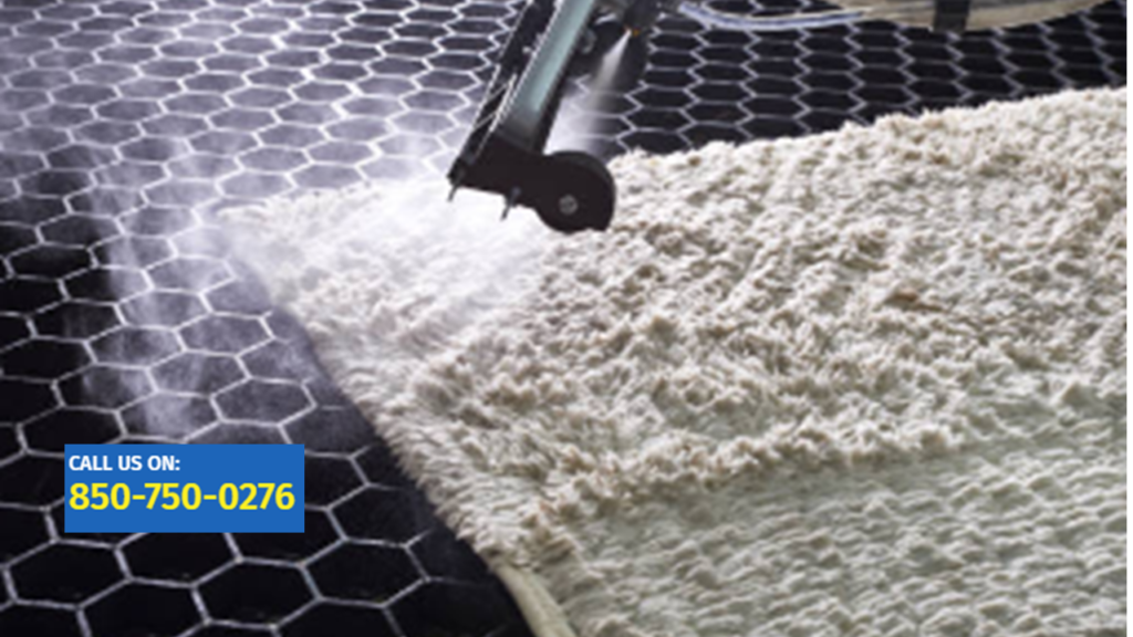Carpet steam cleaning