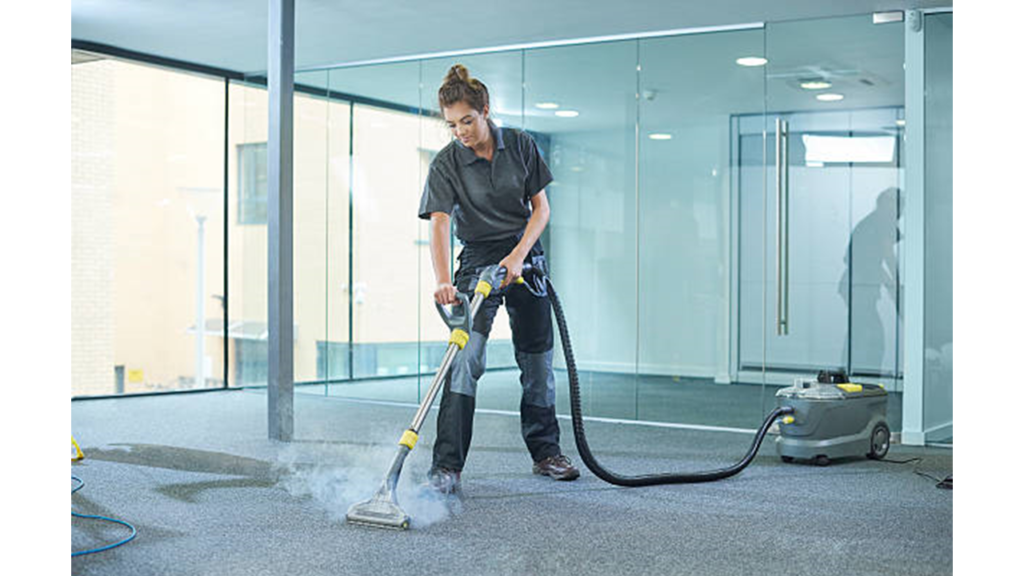 House Carpet Steam Cleaning
