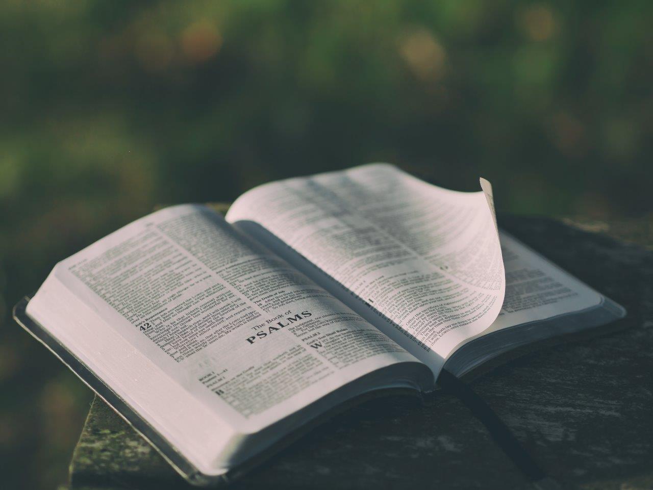 BIBLE STUDY
